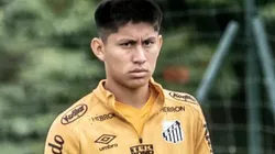 Foto: Ivan Storti/Santos FC