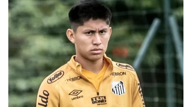 Foto: Ivan Storti/Santos FC