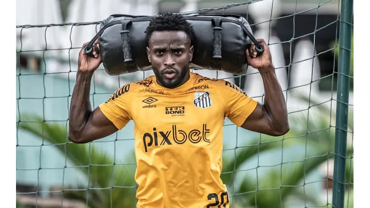 Foto: Ivan Storti/ Santos