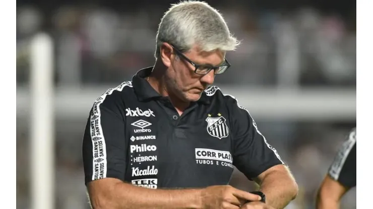 Foto: Flickr do Santos - Odair no Santos.