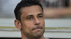 Foto: Thiago Ribeiro/AGIF - Fred