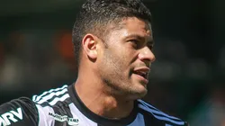 Foto: Gabriel Machado/AGIF - Hulk: atacante chegou a negociar com o Palmeiras