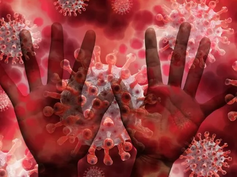 Covid-19: Brasil volta a indicar estabilidade no número de óbitos