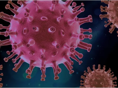 Brasil registra primeiro caso da subvariante Ômicron XBB.1.5