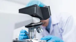 Foto: Reprodução/Pexels