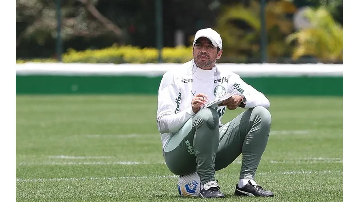 Foto: César Greco/ Palmeiras