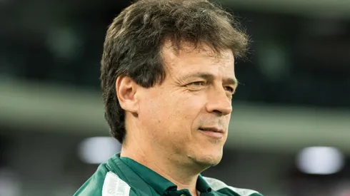 Robson Mafra/AGIF - Fernando Diniz, técnico do Fluminense