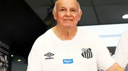 Pedro Ernesto Guerra Azevedo/Santos - Pepe fala sobre jogar ao lado de Pelé