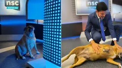 Imagem: Reprodução/Instagram de Fabian Londero