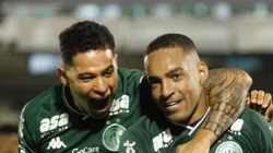 Foto: Rogério Capela/AGIF - Jenison só marcou uma vez na última Série B.