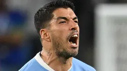 - Luis Suárez