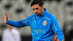 Thiago Ribeiro/AGIF - Abel no Palmeiras.