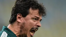 - Fernando Diniz