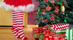 Mulher viralizou ao fimlmar par de olhos de dentro da árvore de Natal