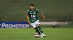 Foto: Thomaz Marostegan/Guarani FC - Bidu fez bons jogos pelo Guarani
