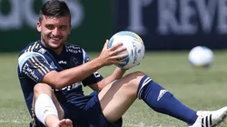 Foto: César Greco/ Palmeiras