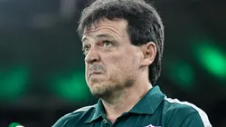 Foto: Thiago Ribeiro/AGIF - Fernando Diniz renovou contrato com o Fluminense.