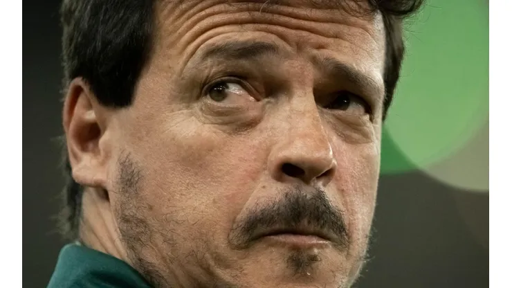 Foto: Jorge Rodrigues/AGIF - Diniz: técnico do Fluminense foi sugerido por Cafu para a Seleção Brasileira