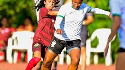 Mourão Panda / América