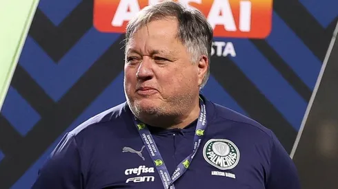 Foto: César Greco/ Palmeiras