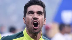 Foto: Ettore Chiereguini/AGIF - Abel é um dos favoritos pelos torcedores para assumir o Brasil.