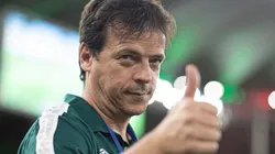 Agif/Jorge Rodrigues - Fernando Diniz ganha nome de peso na comissão