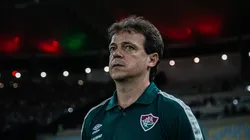 Marcelo Gonçalves/Fluminense - Titular de Diniz renova com o Fluminense