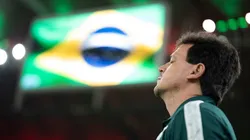 Foto: Jorge Rodrigues/AGIF | Fernando Diniz