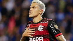 Pedro é o jogador com mais gols em uma edição da Libertadores pelo Flamengo