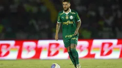 Ze Rafael jogador do Palmeiras durante partida contra o Botafogo-SP