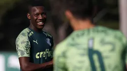 Divulgação/Palmeiras