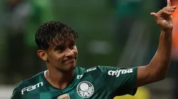 Foto: César Greco/ Pameiras