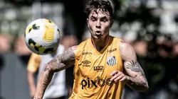 Foto: Ivan Storti- Zanocelo