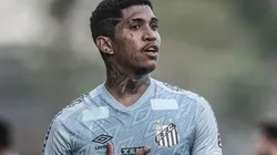 Foto: Ivan Storti/Santos FC