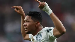 Foto: César Greco/ Palmeiras