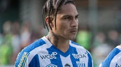 Foto: Robson Mafra/AGIF - Guerrero ainda não marcou com a camisa do Avaí