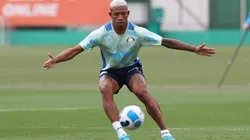 Foto: César Greco/ Palmeiras