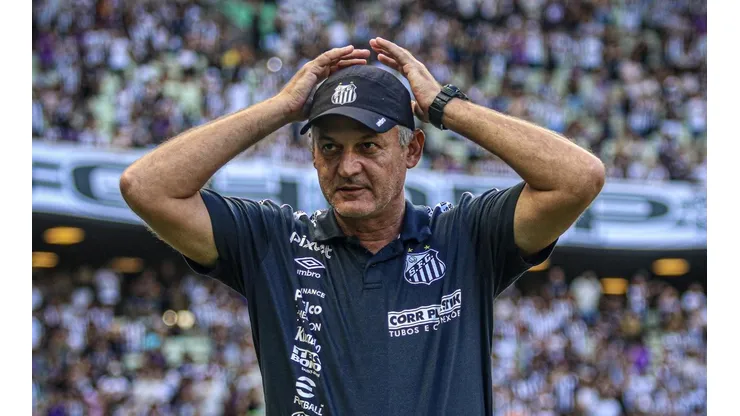 Lucas Emanuel/AGIF - Lisca no comando do Santos.