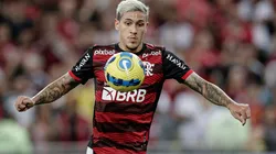 AGIF/AGIF - Pedro é destaque em entrevista de Diego Ribas