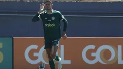 Foto: Diogo Reis/AGIF