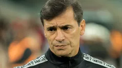 Fabián Bustos utilizava o jogador como coringa no Santos (Foto: Robson Mafra/AGIF)