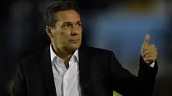 Foto: Thiago Ribeiro/AGIF - Vanderlei Luxemburgo
