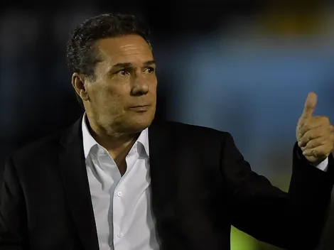 “Pode começar a briga”; Luxemburgo traz UFC ao Vasco, coloca medalhões para brigar “na mão” e declaração ‘bomba’