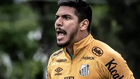 Foto: Ivan Storti/Santos FC