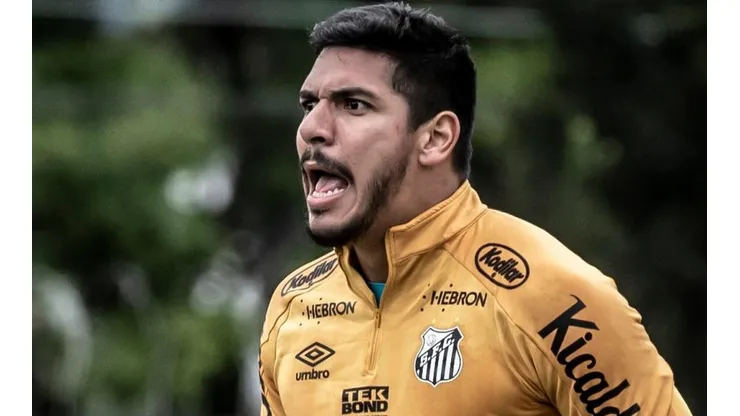 Foto: Ivan Storti/Santos FC