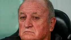 Foto: Gabriel Machado/AGIF - Felipão: técnico ficou irritado como atuação do Athletico