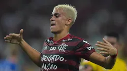 Brasileiro A 2019, Flamengo x Avai