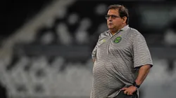 Agif/Thiago Ribeiro - Guto Ferreira elogia dois atletas do Botafogo