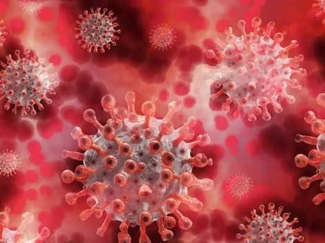 Número de mortos por Covid-19 no mundo se reflete na má condução de vários países