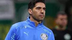Foto: Cesar Greco/Palmeiras/Divulgação - Abel Ferreira: técnico está satisfeito com desempenho de titular